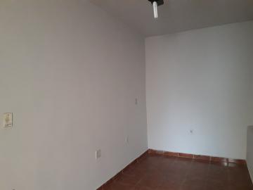Alugar Casa / Padr&atilde;o em S&atilde;o Jos&eacute; do Rio Preto R$ 1.200,00 - Foto 9