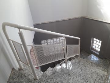 Alugar Casa / Sobrado em S&atilde;o Jos&eacute; do Rio Preto R$ 2.000,00 - Foto 7