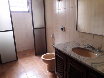 Alugar Casa / Padr&atilde;o em S&atilde;o Jos&eacute; do Rio Preto R$ 3.200,00 - Foto 10