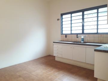 Alugar Casa / Padr&atilde;o em S&atilde;o Jos&eacute; do Rio Preto R$ 3.200,00 - Foto 5