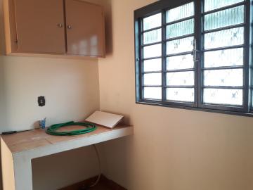 Alugar Casa / Padr&atilde;o em S&atilde;o Jos&eacute; do Rio Preto R$ 3.200,00 - Foto 16