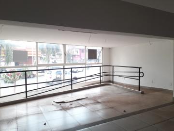 Alugar Comercial / Casa Comercial em S&atilde;o Jos&eacute; do Rio Preto R$ 7.000,00 - Foto 4