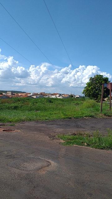 Comprar Terreno / &Aacute;rea em Nova Granada R$ 2.500.000,00 - Foto 6