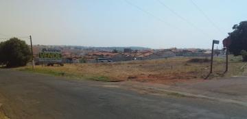 Comprar Terreno / &Aacute;rea em Nova Granada R$ 2.500.000,00 - Foto 3