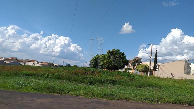 Comprar Terreno / &Aacute;rea em Nova Granada R$ 2.500.000,00 - Foto 7