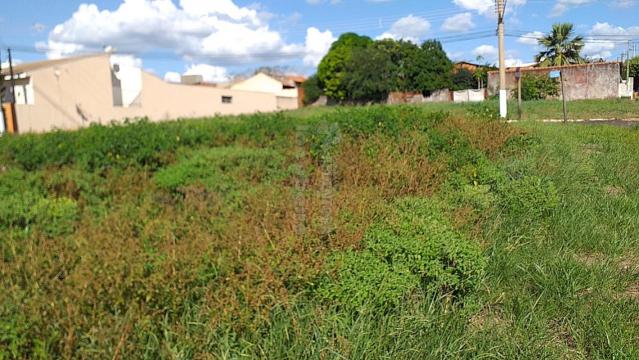 Comprar Terreno / &Aacute;rea em Nova Granada R$ 2.500.000,00 - Foto 9