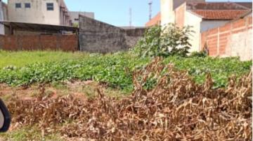 Comprar Terreno / Padr&atilde;o em S&atilde;o Jos&eacute; do Rio Preto R$ 250.000,00 - Foto 3