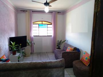 Alugar Apartamento / Padr&atilde;o em S&atilde;o Jos&eacute; do Rio Preto. apenas R$ 800,00