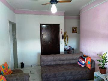 Alugar Apartamento / Padr&atilde;o em S&atilde;o Jos&eacute; do Rio Preto R$ 800,00 - Foto 2