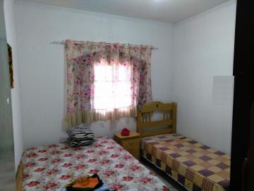 Alugar Apartamento / Padr&atilde;o em S&atilde;o Jos&eacute; do Rio Preto R$ 800,00 - Foto 3