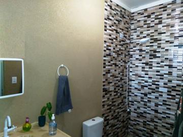 Alugar Apartamento / Padr&atilde;o em S&atilde;o Jos&eacute; do Rio Preto R$ 800,00 - Foto 5