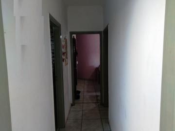 Alugar Apartamento / Padr&atilde;o em S&atilde;o Jos&eacute; do Rio Preto R$ 800,00 - Foto 7