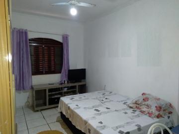Alugar Apartamento / Padr&atilde;o em S&atilde;o Jos&eacute; do Rio Preto R$ 800,00 - Foto 8