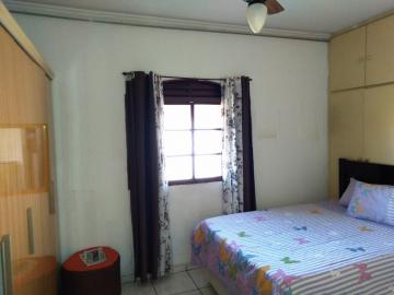 Alugar Apartamento / Padr&atilde;o em S&atilde;o Jos&eacute; do Rio Preto R$ 800,00 - Foto 10