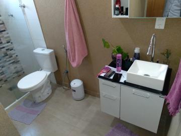 Alugar Apartamento / Padr&atilde;o em S&atilde;o Jos&eacute; do Rio Preto R$ 800,00 - Foto 12