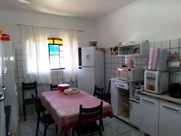 Alugar Apartamento / Padr&atilde;o em S&atilde;o Jos&eacute; do Rio Preto R$ 800,00 - Foto 14