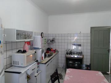 Alugar Apartamento / Padr&atilde;o em S&atilde;o Jos&eacute; do Rio Preto R$ 800,00 - Foto 15