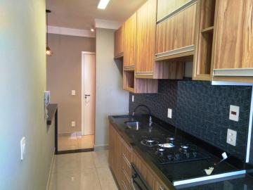 Alugar Apartamento / Padr&atilde;o em S&atilde;o Jos&eacute; do Rio Preto R$ 1.700,00 - Foto 6