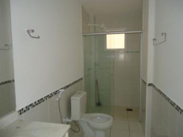 Alugar Apartamento / Padr&atilde;o em S&atilde;o Jos&eacute; do Rio Preto R$ 1.500,00 - Foto 3