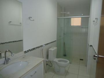 Alugar Apartamento / Padr&atilde;o em S&atilde;o Jos&eacute; do Rio Preto R$ 1.500,00 - Foto 9