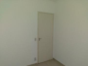 Alugar Apartamento / Cobertura em S&atilde;o Jos&eacute; do Rio Preto R$ 1.000,00 - Foto 8