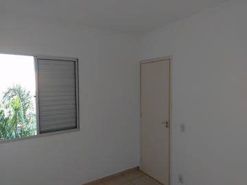 Alugar Apartamento / Cobertura em S&atilde;o Jos&eacute; do Rio Preto R$ 1.000,00 - Foto 9