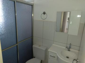 Alugar Apartamento / Cobertura em S&atilde;o Jos&eacute; do Rio Preto R$ 1.000,00 - Foto 10