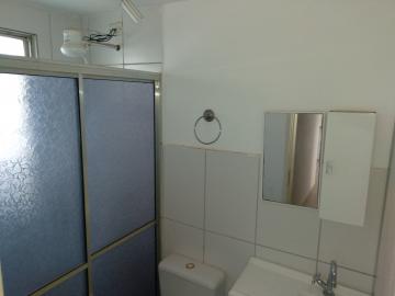 Alugar Apartamento / Cobertura em S&atilde;o Jos&eacute; do Rio Preto R$ 1.000,00 - Foto 11