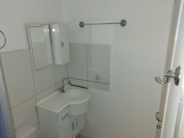 Alugar Apartamento / Cobertura em S&atilde;o Jos&eacute; do Rio Preto R$ 1.000,00 - Foto 13