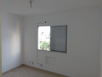 Alugar Apartamento / Cobertura em S&atilde;o Jos&eacute; do Rio Preto R$ 1.000,00 - Foto 14