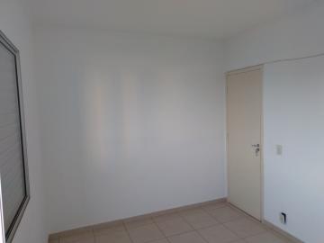 Alugar Apartamento / Cobertura em S&atilde;o Jos&eacute; do Rio Preto R$ 1.000,00 - Foto 15