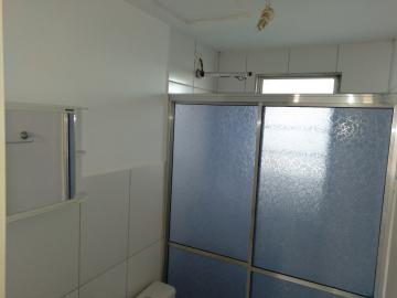Alugar Apartamento / Cobertura em S&atilde;o Jos&eacute; do Rio Preto R$ 1.000,00 - Foto 19