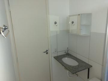 Alugar Apartamento / Cobertura em S&atilde;o Jos&eacute; do Rio Preto R$ 1.000,00 - Foto 17