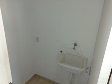 Alugar Apartamento / Cobertura em S&atilde;o Jos&eacute; do Rio Preto R$ 1.000,00 - Foto 20