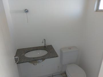 Alugar Apartamento / Cobertura em S&atilde;o Jos&eacute; do Rio Preto R$ 1.000,00 - Foto 18