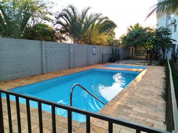 Alugar Apartamento / Cobertura em S&atilde;o Jos&eacute; do Rio Preto R$ 1.000,00 - Foto 31