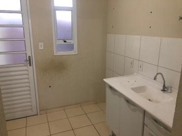 Alugar Casa / Padr&atilde;o em S&atilde;o Jos&eacute; do Rio Preto R$ 850,00 - Foto 7