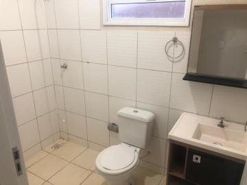 Alugar Casa / Padr&atilde;o em S&atilde;o Jos&eacute; do Rio Preto R$ 850,00 - Foto 4