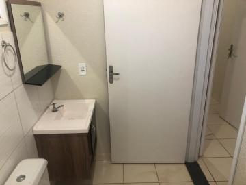 Alugar Casa / Padr&atilde;o em S&atilde;o Jos&eacute; do Rio Preto R$ 850,00 - Foto 5