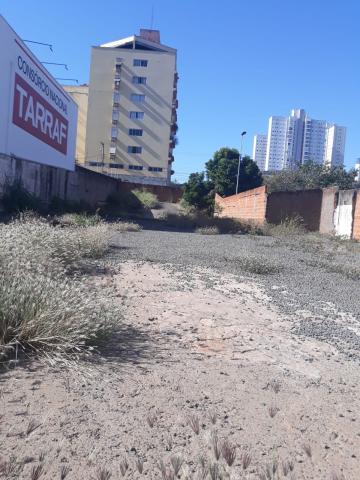 Comprar Terreno / &Aacute;rea em S&atilde;o Jos&eacute; do Rio Preto R$ 3.200.000,00 - Foto 3