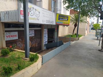 Comercial / Sal&atilde;o em S&atilde;o Jos&eacute; do Rio Preto 