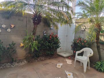 Alugar Casa / Condom&iacute;nio em S&atilde;o Jos&eacute; do Rio Preto R$ 700,00 - Foto 9