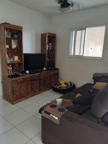 Alugar Casa / Condom&iacute;nio em S&atilde;o Jos&eacute; do Rio Preto R$ 700,00 - Foto 4