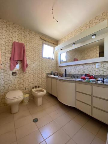 Alugar Apartamento / Padr&atilde;o em S&atilde;o Jos&eacute; do Rio Preto R$ 1.200,00 - Foto 9