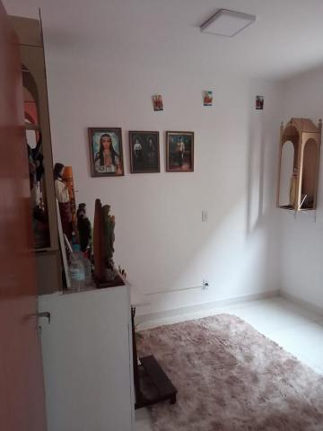Alugar Apartamento / Padr&atilde;o em S&atilde;o Jos&eacute; do Rio Preto R$ 1.000,00 - Foto 8