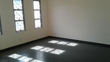 Alugar Casa / Padr&atilde;o em S&atilde;o Jos&eacute; do Rio Preto R$ 1.300,00 - Foto 3