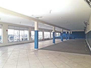 Alugar Comercial / Sal&atilde;o em S&atilde;o Jos&eacute; do Rio Preto. apenas R$ 4.500,00