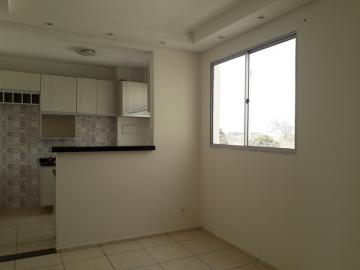 Alugar Apartamento / Padr&atilde;o em S&atilde;o Jos&eacute; do Rio Preto R$ 850,00 - Foto 3