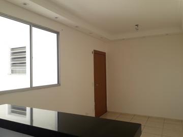 Alugar Apartamento / Padr&atilde;o em S&atilde;o Jos&eacute; do Rio Preto R$ 850,00 - Foto 2