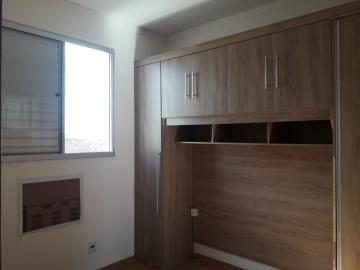 Alugar Apartamento / Padr&atilde;o em S&atilde;o Jos&eacute; do Rio Preto R$ 850,00 - Foto 7